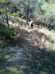 IMG-20170411-WA0002.jpg