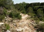 IMG-20170508-WA0007.jpg