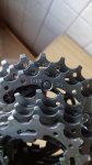IMG_20170509_074107.jpg