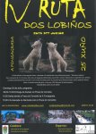 Cartel Lobiños.jpg