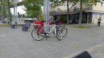 IMG_20170416_160251474_optimized.jpg