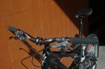 DSC_4407.JPG