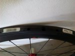 IMG_20170417_101343.jpg