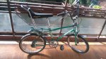 IMG-20170513-WA0032.jpg