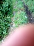 IMG_20170513_191353_HDR.jpg