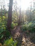 IMG-20170426-WA0004.jpg