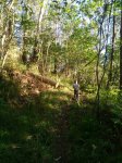 IMG-20170426-WA0006.jpg