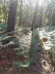 IMG-20170426-WA0007.jpg