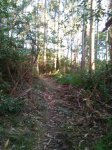 IMG-20170426-WA0009.jpg