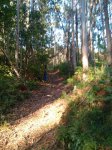 IMG-20170426-WA0010.jpg