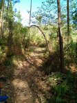 IMG-20170426-WA0011.jpg