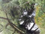 20170517_200257.jpg