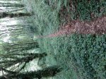 20170517_195400.jpg