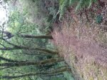 20170517_195239.jpg