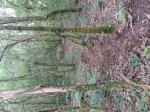 20170517_194401.jpg