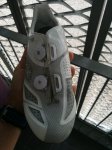 IMG_20170511_073035.jpg