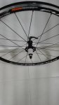 IMG_20170519_101016.jpg