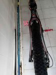IMG_20170519_125124.jpg