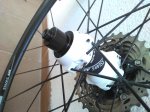 IMG_20170519_115309.jpg