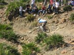 m_IMG_1935.JPG