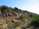m_IMG_1941.JPG