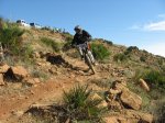 m_IMG_2009.JPG