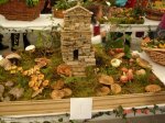 DSC01502 foro.jpg