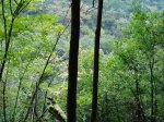 PA280040r.JPG