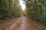 IMG_0757.jpg