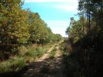 foto21.jpg