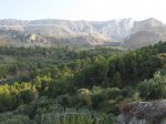estiu07225tb2.jpg