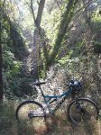 estiu07221un0.jpg