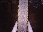 20170523_074800.jpg