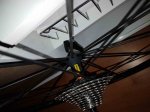 20170509_194702.jpg