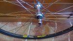 WP_20170401_12_24_59_Pro.jpg