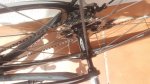 20170525_114743.jpg