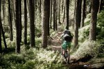 EWS Irlanda 2017 p5pb14767261.jpg