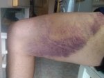 IMG_20170527_083501.jpg