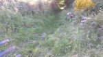 IMG-20170520-WA0008.jpeg