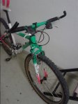 20170528_094456.jpg