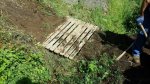 IMG-20170531-WA0001.jpg