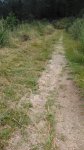 IMG-20170531-WA0006.jpg