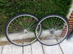 IMG_20170501_173928.jpg