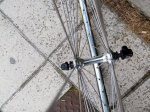 IMG_20170501_173954.jpg