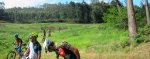 Panorama 1.JPG
