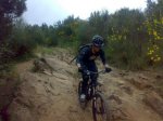 Collserola 2012 (1).jpg