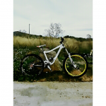 PhotoGrid_1479637991838.png