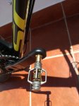 IMG-20170604-WA0005.jpg