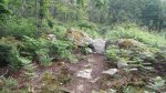 IMG-20170604-WA0002.jpg