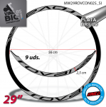 roval-control-29-vinilos_2816233.png